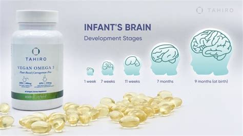 omega-3 brain repair|omega 3 for brain development.